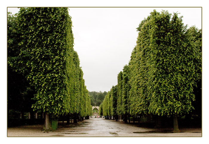 im Schlossgarten Schönbrunn, Wien